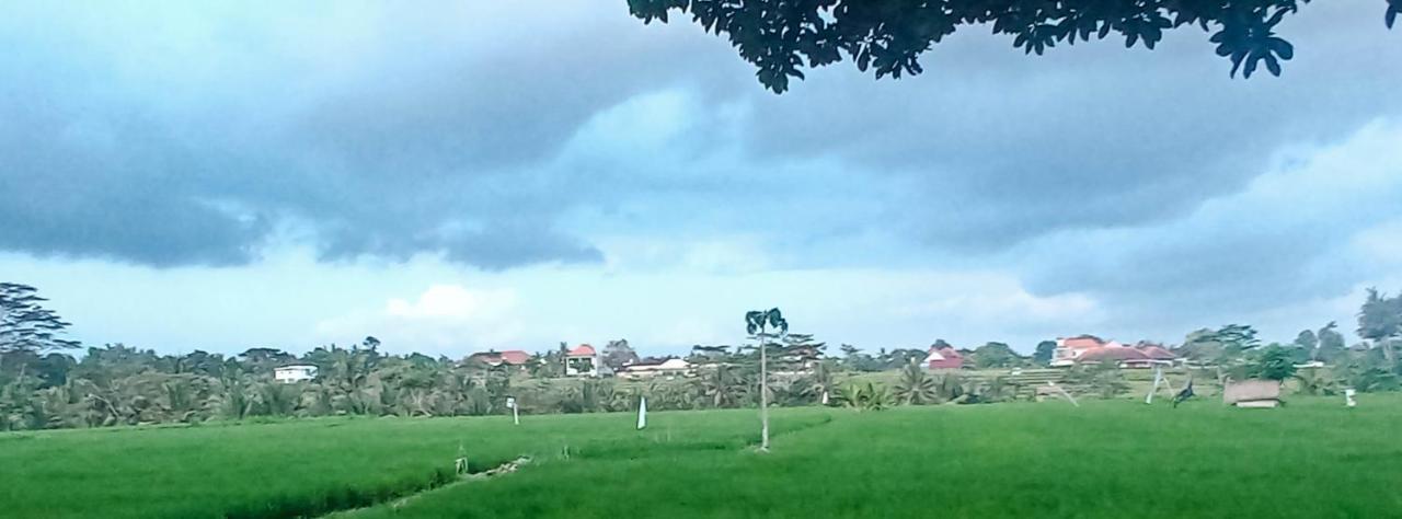Appartamento D' Tegal House Ubud Esterno foto